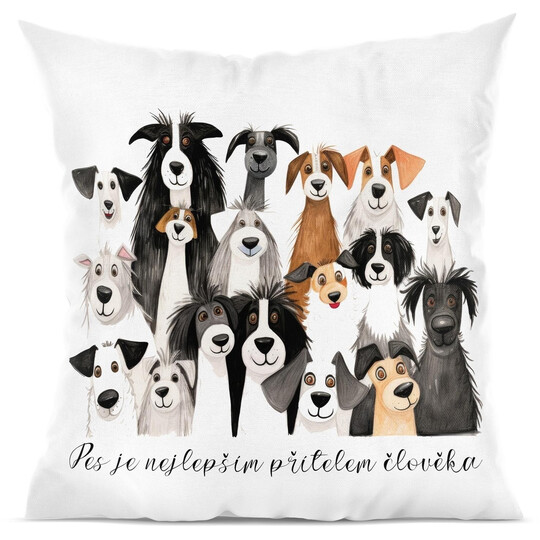 Polštář "Pes je nejlepším přítelem člověka"