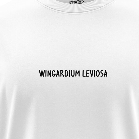 Pánská trička "Wingardium leviosa"