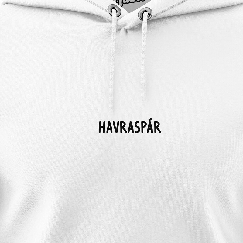 Pánské mikiny s kapucí "HAVRASPÁR"
