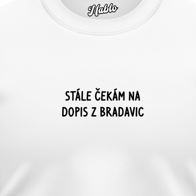 Pánské mikiny bez kapuce "STÁLE ČEKÁM NA DOPIS Z BRADAVIC"