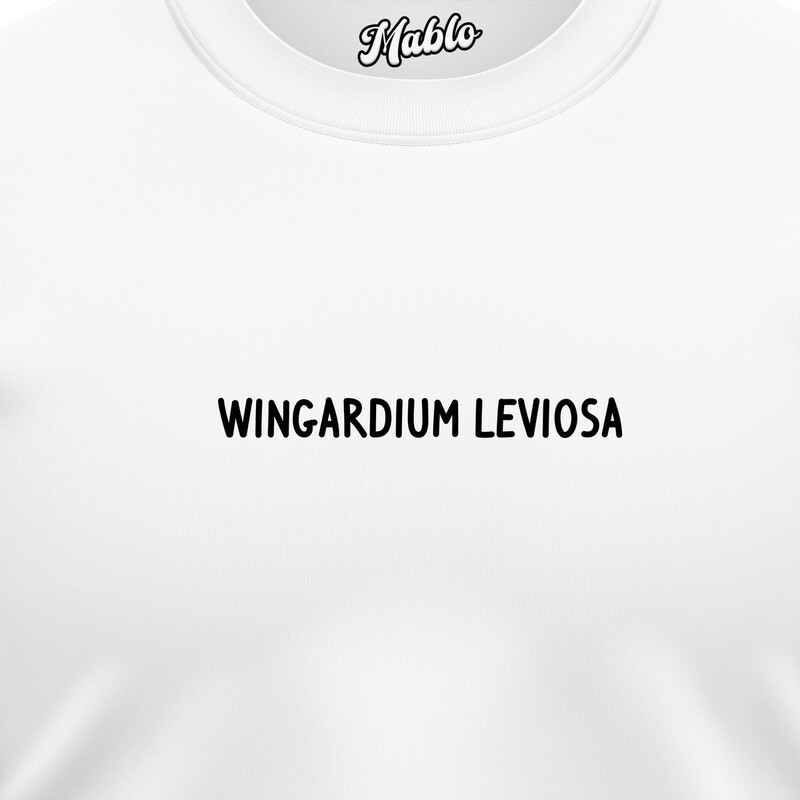 Pánské mikiny bez kapuce "WINGARDIUM LEVIOSA"