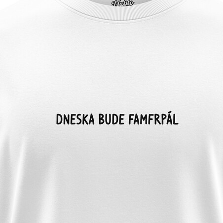 Pánská trička "DNESKA BUDE FAMFRPÁL"