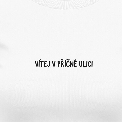 Dámská trička "VÍTEJ V PŘÍČNÉ ULICI"