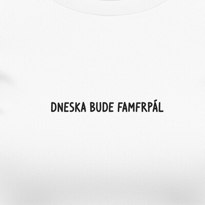 Dívčí trička "DNESKA BUDE FAMFRPÁL"