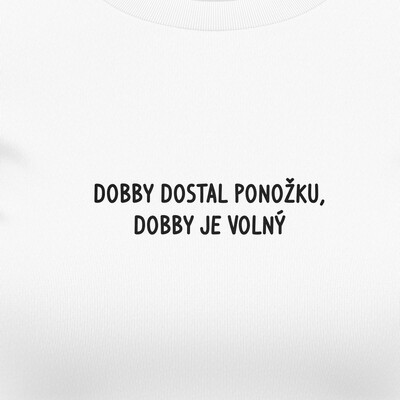 Dívčí trička "DOBBY DOSTAL PONOŽKU..."