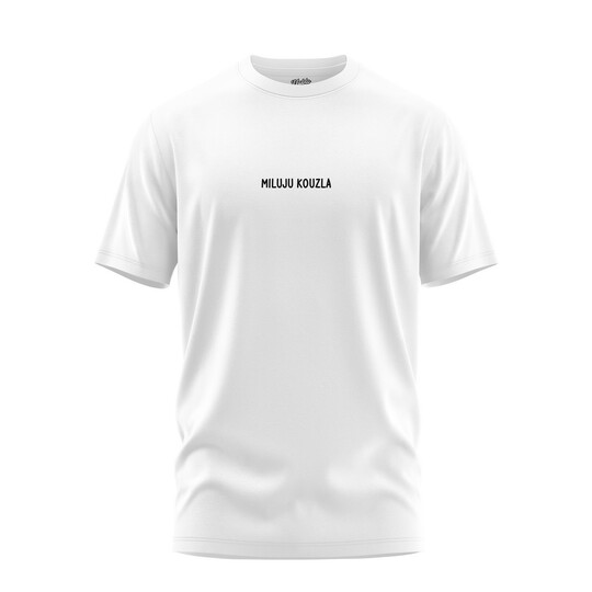 Bavlněné chlapecké tričko "MILUJU KOUZLA"